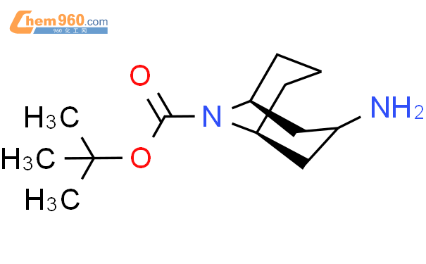 Tert Butyl S R Amino Azabicyclo Nonane