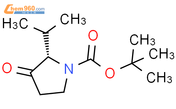 Tert Butyl S Oxo Propan Yl Pyrrolidine