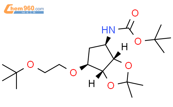 Tert Butyl As R S Ar Tert Butoxy Ethoxy