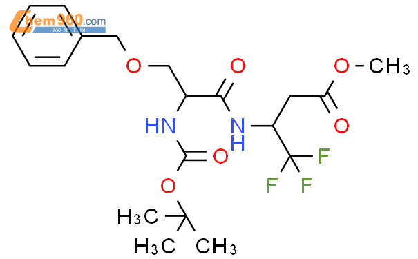 Butanoic Acid S Dimethylethoxy Carbonyl