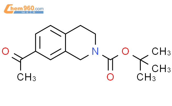 Tert Butyl Acetyl Dihydroisoquinoline H