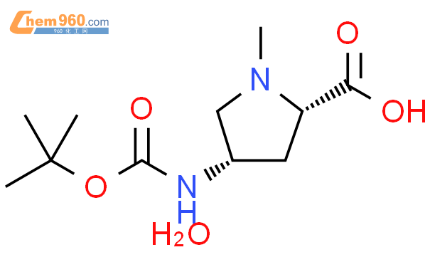 S Tert Butoxycarbonyl Amino Methyl L Proline