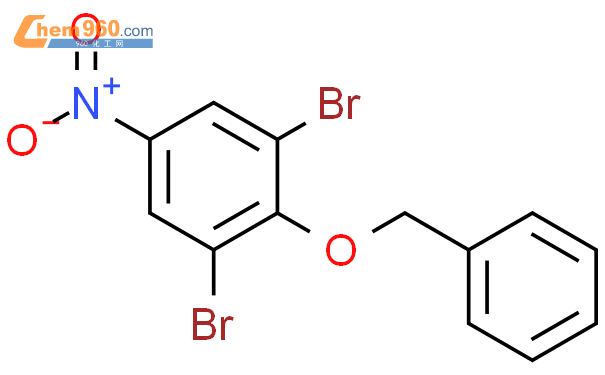 179246 22 1 Benzene 1 3 dibromo 5 nitro 2 phenylmethoxy CAS号 179246