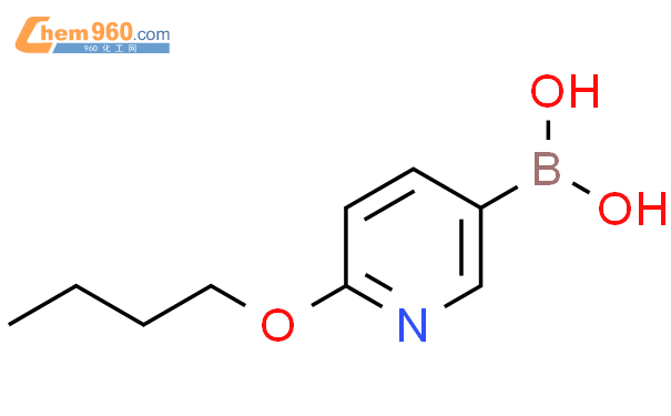 6-丁氧基-3-吡啶硼酸
