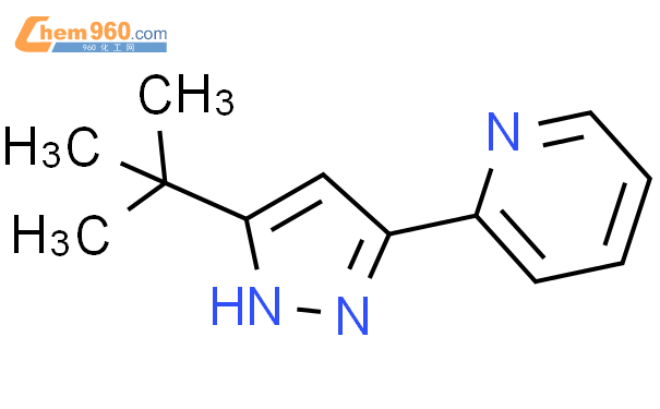 215323 54 9 2 5 tert butyl 1H pyrazol 3 yl pyridine化学式结构式分子式mol