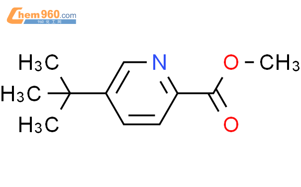 Pyridinecarboxylic Acid Dimethylethyl Methyl Ester