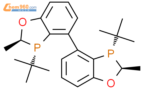 2207601 10 1 2S 2 S 3S 3 S 3 3 Di Tert Butyl 2 2 Dimethyl 2 2 3 3