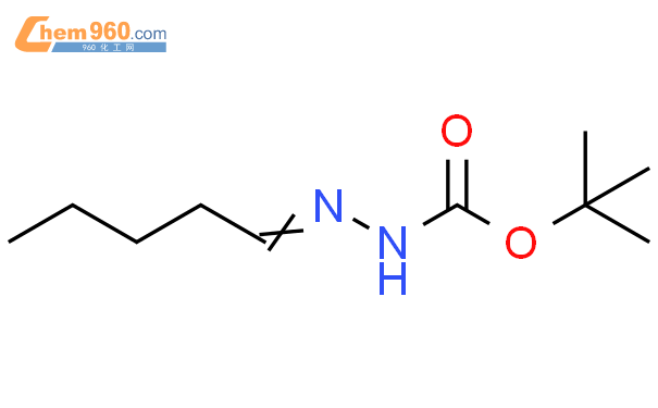 (9Ci)-戊基-肼羧酸 1,1-二甲基乙酯