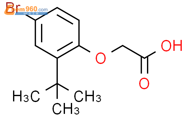 425372 86 7 2 4 Bromo 2 tert butyl phenoxy acetic acidCAS号 425372 86