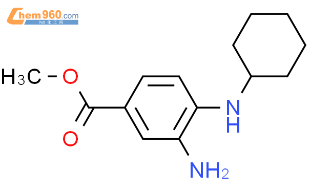 Benzoic acid 3 amino 4 cyclohexylamino methyl esterCAS号503859 27