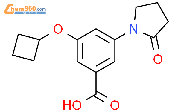 537658 20 1 Benzoic Acid 3 Cyclobutyloxy 5 2 Oxo 1 Pyrrolidinyl