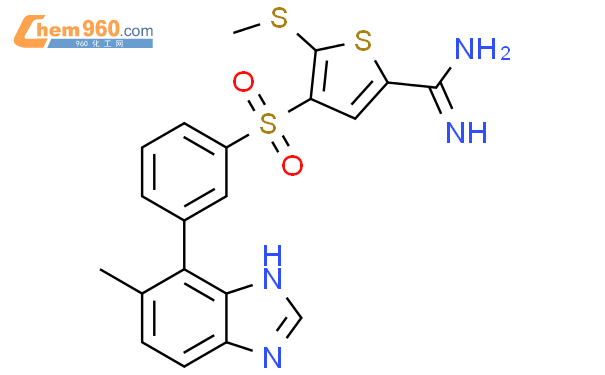 Thiophenecarboximidamide Methyl H Benzimidazol