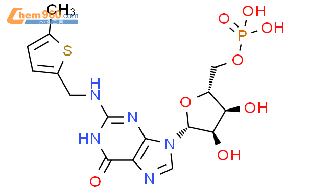 688001 37 8 5 GUANYLIC ACID N 5 METHYL 2 THIENYL METHYL CAS号