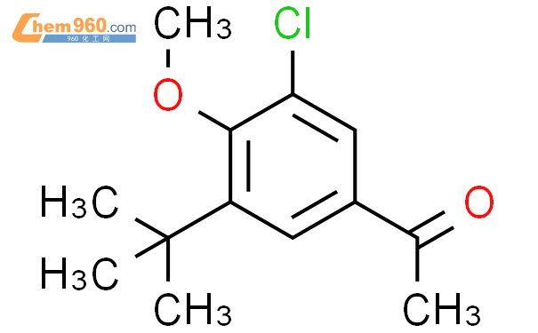 Ethanone Chloro Dimethylethyl Methoxyphenyl