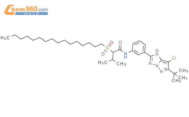 Butanamide N Chloro Dimethylethyl H Pyrazolo