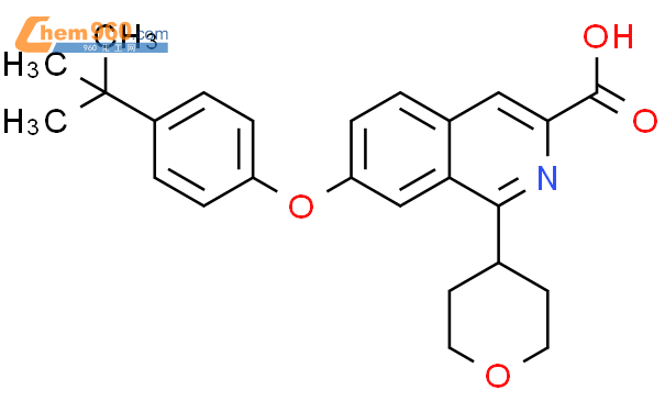 Isoquinolinecarboxylic Acid Dimethylethyl