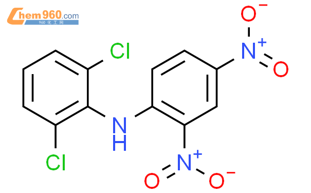 881986 19 2 N 2 6 二氯苯基 2 4 二硝基苯胺CAS号 881986 19 2 N 2 6 二氯苯基 2 4 二硝基