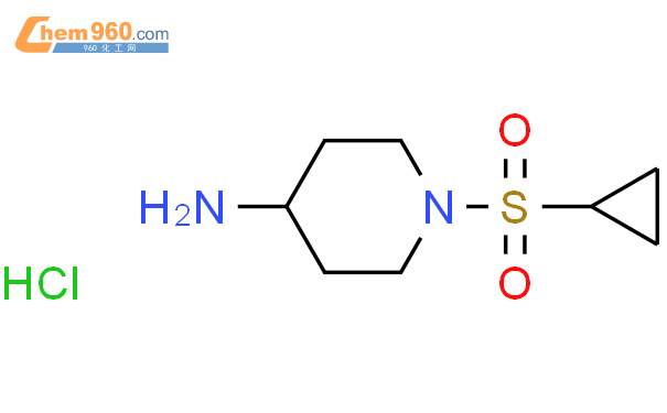 1 环丙基磺酰基 4 哌啶胺CAS号883106 49 8 960化工网