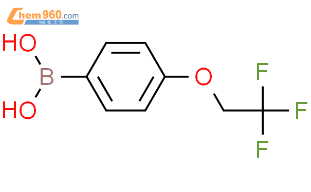 886536 37 4 4 2 2 2 三氟乙氧基 苯硼酸CAS号 886536 37 4 4 2 2 2 三氟乙氧基 苯硼酸中英文名