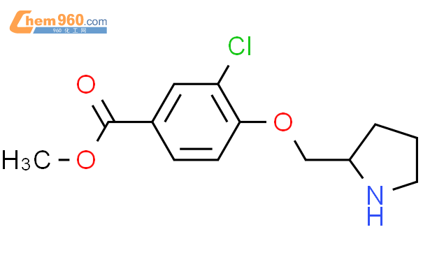 922529 34 8 Benzoic Acid 3 Chloro 4 2S 2 Pyrrolidinylmethoxy