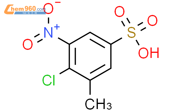 Benzenesulfonic Acid Chloro Methyl Nitro Mol