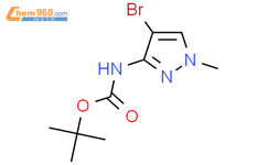 Tert Butyl Bromo Methyl H Pyrazol Yl Carbamate Tert Butyl