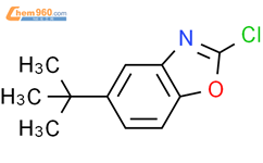 Tert Butyl Chloro Benzoxazole N