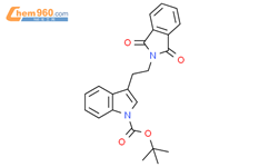 Tert Butyl Dioxoisoindolin Yl Ethyl H Indole