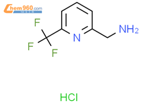 Trifluoromethyl Pyridine Methylamine