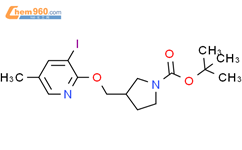 Tert Butyl Iodo Methylpyridin Yloxy Methyl Pyrrolidine