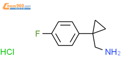 1 4 氟苯基环丙基甲胺盐酸盐 90 1 4 fluorophenyl cyclopropyl methanamine