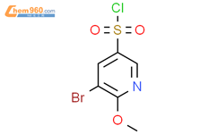 5 溴 6 甲氧基吡啶 3 磺酰氯 5 Bromo 6 methoxypyridine 3 sulfonyl chloride 1261858