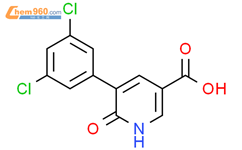 Dichlorophenyl Oxo H Pyridine Carboxylic Acid