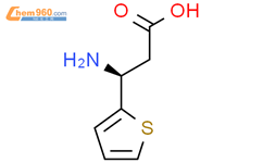 S S Amino Thienyl Propionic Acid