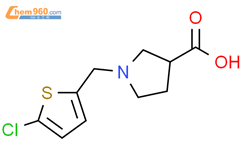 Chlorothiophen Yl Methyl Pyrrolidine Carboxylicacid