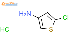 Chlorothiophen Amine Hydrochloride