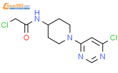 Chloro N Chloropyrimidin Yl Piperidin Yl Acetamide