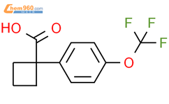 1 4 三氟甲氧基苯基环丁烷 1 羧酸 1 4 trifluoromethoxy phenyl cyclobutane 1