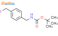 Tert Butyl N Iodomethyl Phenyl Methyl Carbamate