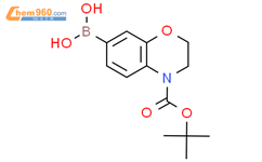 H B Tert Butoxycarbonyl