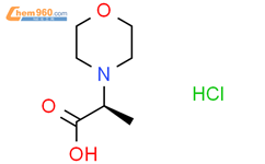 S S Morpholin Yl Propionic Acid Hydrochloride