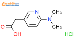 2 6 二甲基氨基 吡啶 3 基 乙酸盐酸盐 2 6 Dimethylamino pyridin 3 yl acetic acid