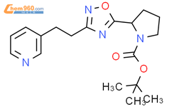 Tert Butyl Pyridin Ylethyl Oxadiazol Yl Pyrrolidine