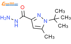 H Tert Butyl Methyl H Pyrazole