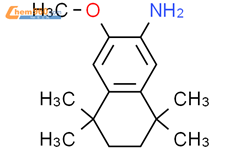 3 甲氧基 5 5 8 8 四甲基 5 6 7 8 四氢萘 2 胺 3 methoxy 5 5 8 8 tetramethyl 5 6 7 8