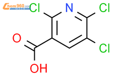 Trichloronicotinic Acid