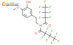 2 2 3 3 4 4 4 Heptafluoro N 2 2 3 3 4 4 4 Heptafluorobutanoyl N 2 3