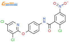 2 Chloro N 4 3 5 Dichloropyridin 2 Yl Oxyphenyl 5 Nitrobenzamide