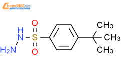 Tert Butylbenzenesulfonohydrazide