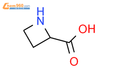 D R Azetidine Carboxylic Acid